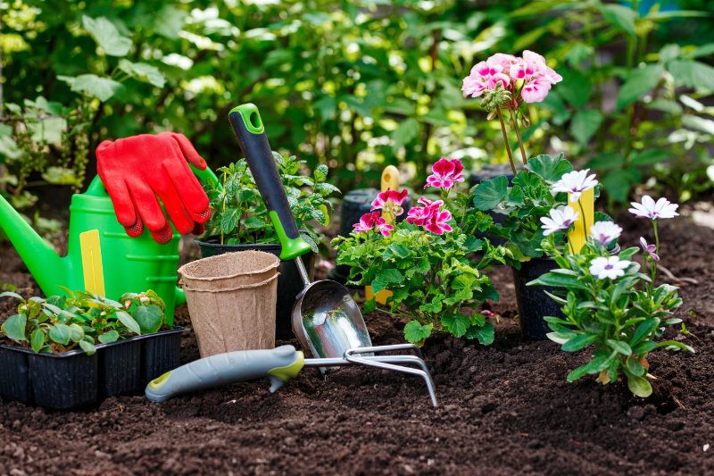 Gardening Services in Chelmsford
